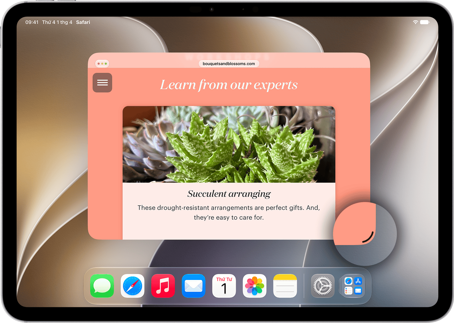 Minh họa thay đổi kích thước cửa sổ Safari trên iPad